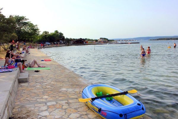 Dužica