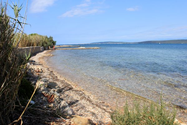 Sarag - photo 18