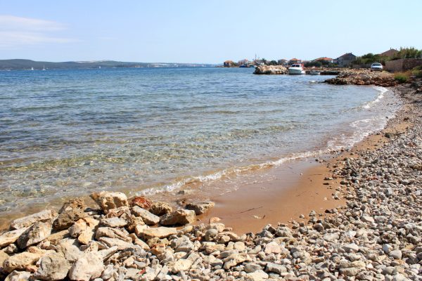 Sarag - photo 19