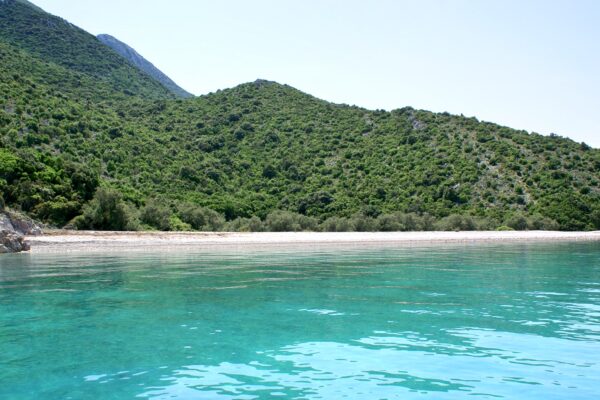 Divna - photo 9