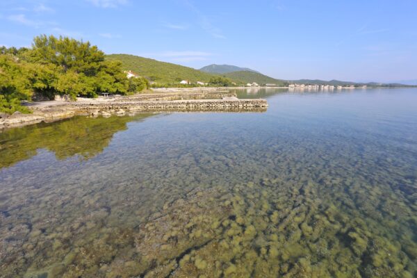 Drače - photo 8