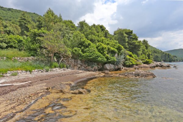 Luka - photo 27