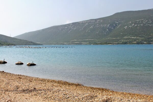 Ston – Supavao - photo 7
