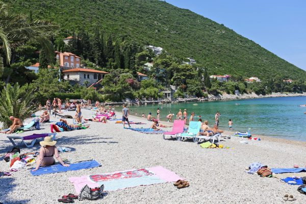 Belečica