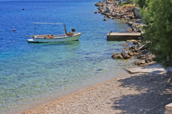 Trstenik - photo 19