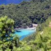 Trstenik - photo 23
