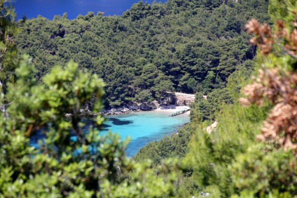 Trstenik - photo 23