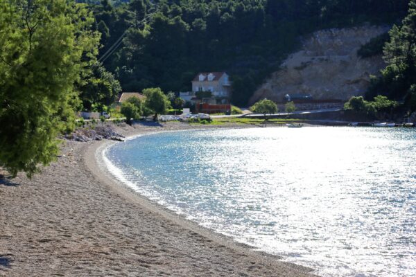 Trstenik - photo 24