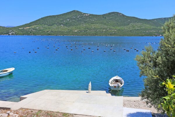 Žuronja - photo 19