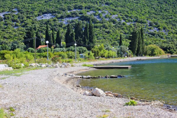 Žuronja - photo 21
