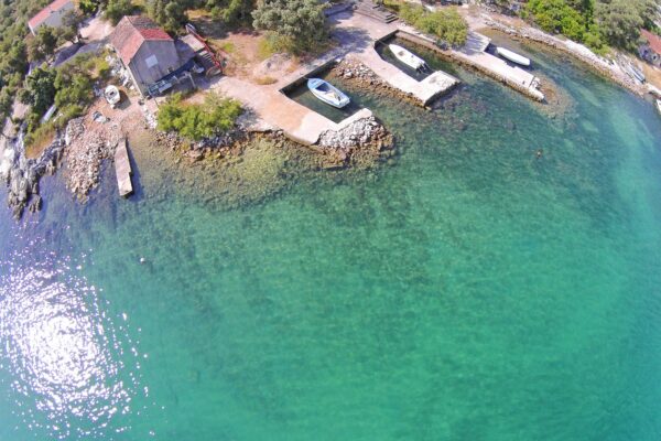 Žuronja - photo 22