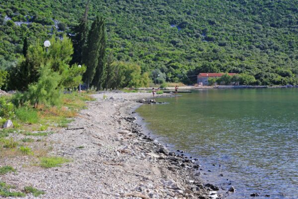 Žuronja - photo 24