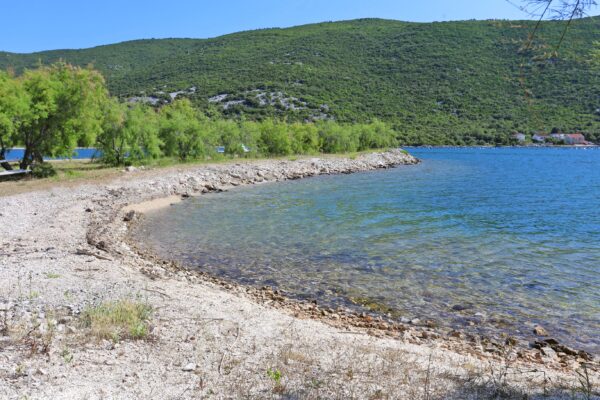 Žuronja - photo 27
