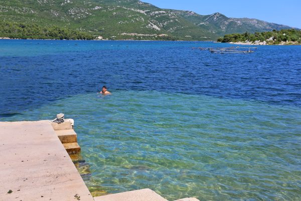 Mali Ston - photo 10