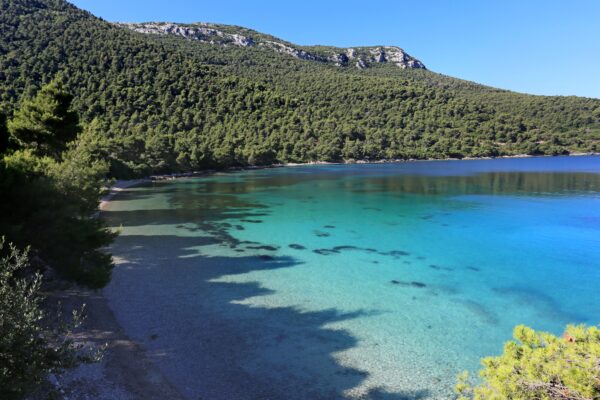 Kremena - photo 11