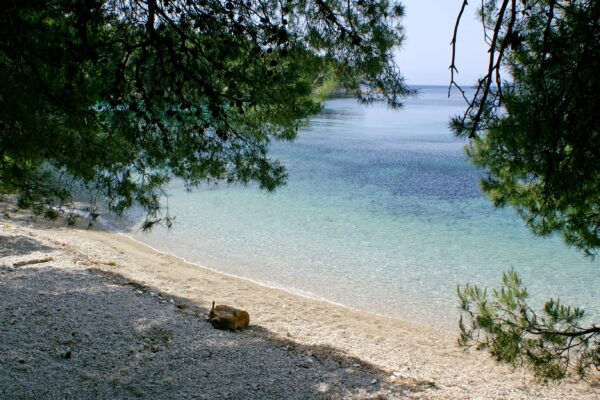Kremena - photo 13