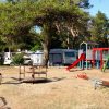 Vankanela - photo 18