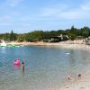 Crnika - photo 23