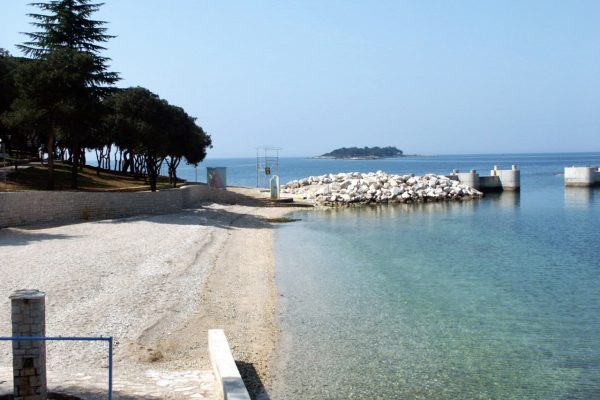 Orsera - photo 22