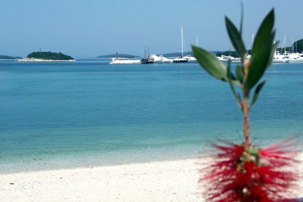 Orsera - photo 23