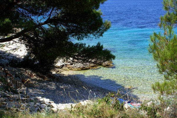Bilo - photo 26