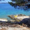 Bilo - photo 28