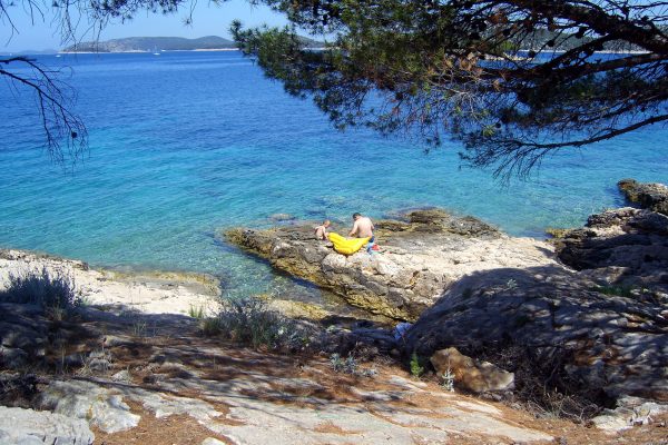 Bilo - photo 28