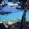 Bilo - photo 29