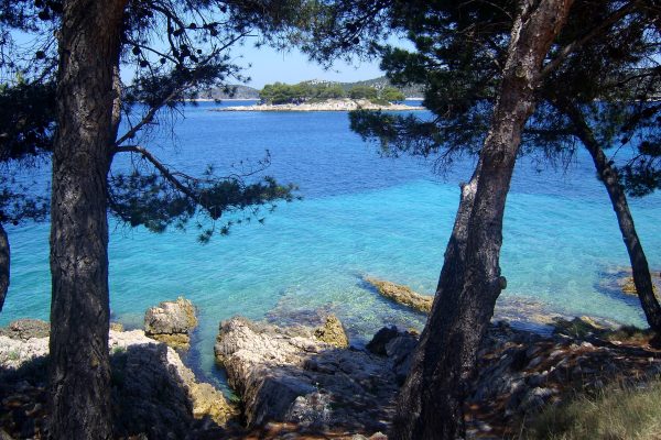 Bilo - photo 29