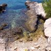 Bilo - photo 30