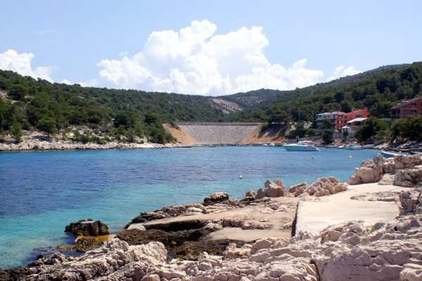Bilo - photo 33