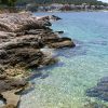 Bilo - photo 34