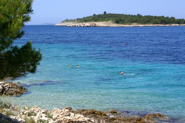 Bilo - photo 18