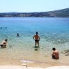 Bilo - photo 36