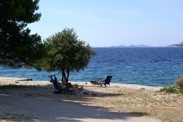 Bilo - photo 39