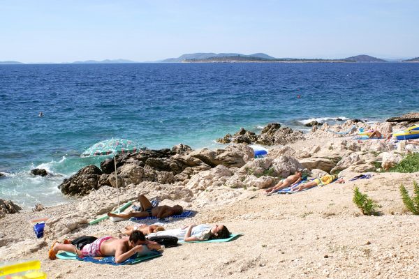 Bilo - photo 21