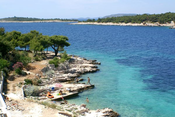 Bilo - photo 23