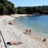 Cintinera - photo 11
