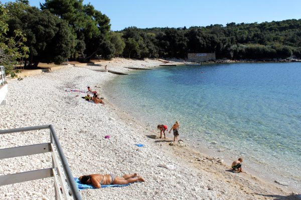 Cintinera - photo 11