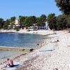 Cintinera - photo 12