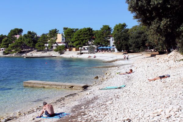 Cintinera - photo 12