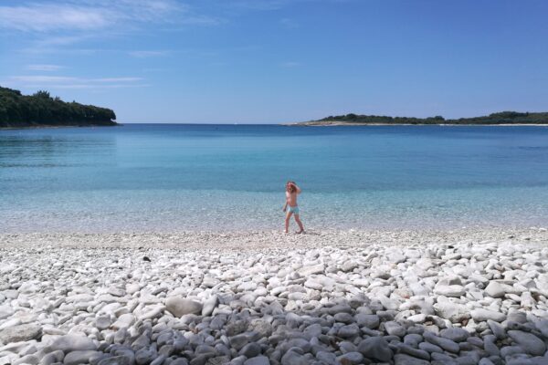 Cintinera - photo 13