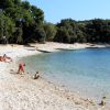 Cintinera - photo 14