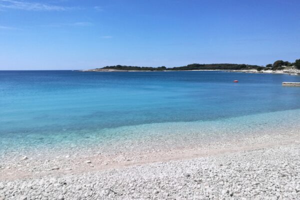 Cintinera - photo 15