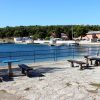 Valsaline - photo 32