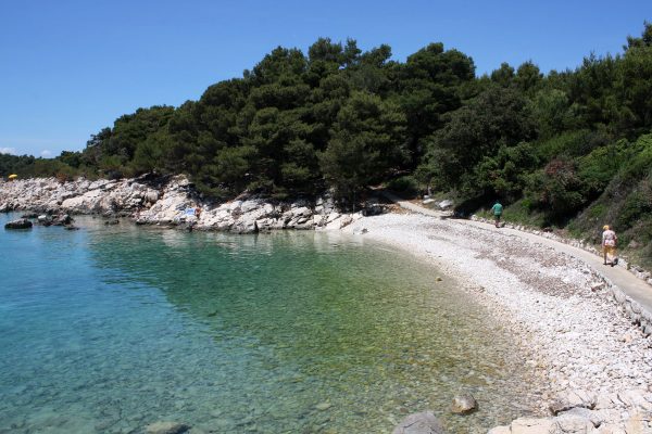 Karandola - photo 2
