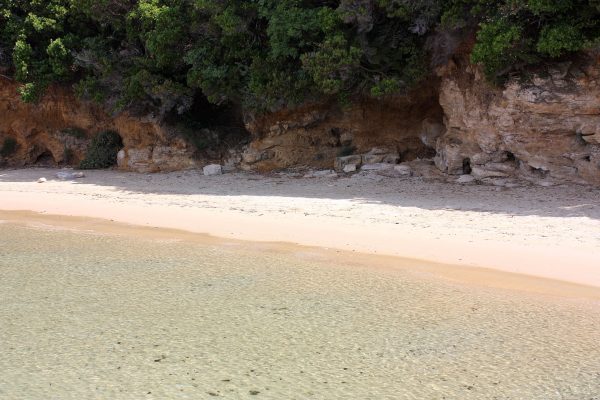 Veli Mel - photo 8