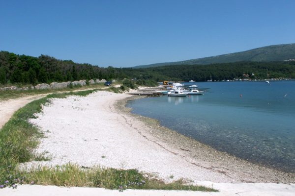 Tunarica