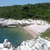 Tunarica - photo 2