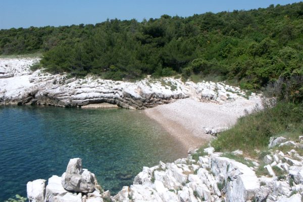 Tunarica - photo 2